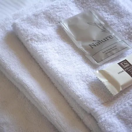 Ξενοδοχείο San Pietro 2*